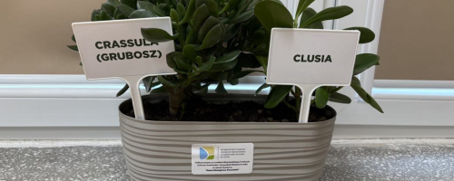 EKOPRACOWNIA W SZKOLE PODSTAWOWEJ W ŻYTNIE